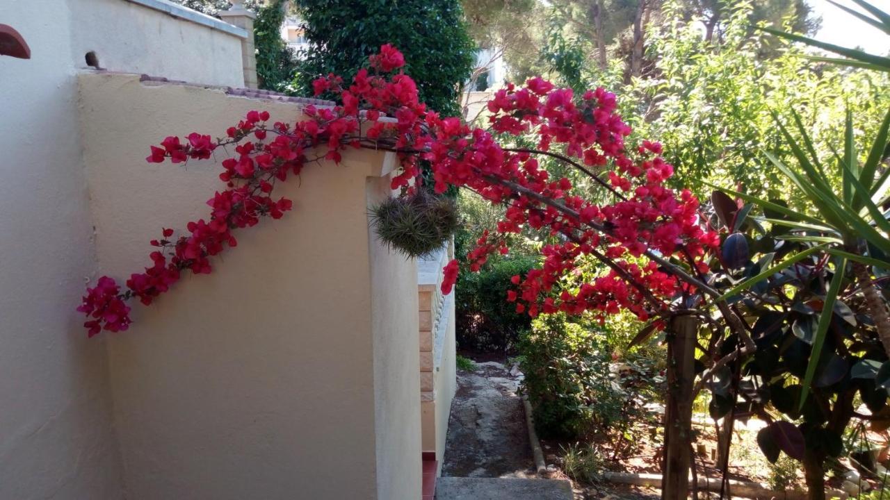 Villa Casa Montse Cala Galdana  Esterno foto